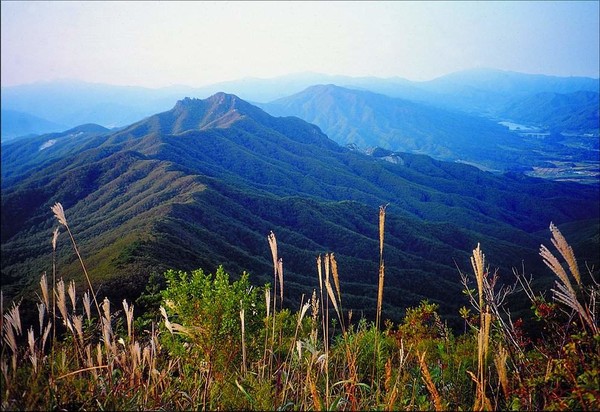 전라도 장수군과 경상도 함양군을 잇는 육십령 전경. 장수군 제공.