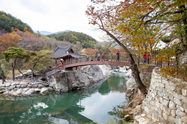 함양 거연정 일원.  함양군 제공.