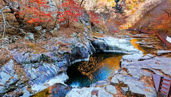 제3회 트레일레이스.  장수군 제공.