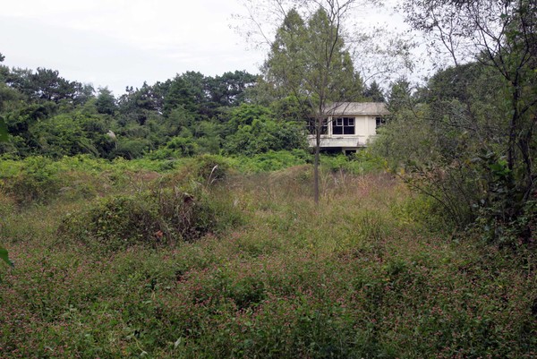 재단 측이 수익용자산으로 내세운 땅. 광주드림 자료사진.