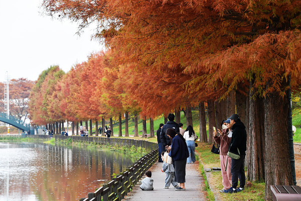 담양군 관방제림을 찾은 관광객
