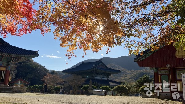 도갑사 경내를 향한 단풍.
