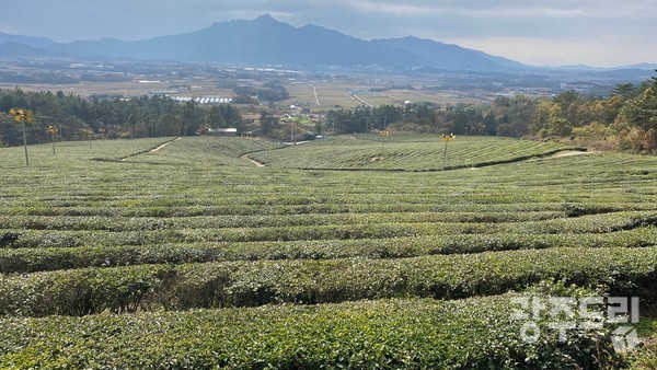 저 멀리 월출산이 펼쳐진다.
