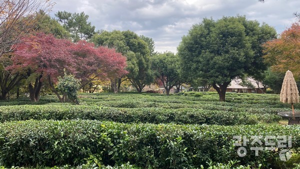 해남 설아다원의 풍경.