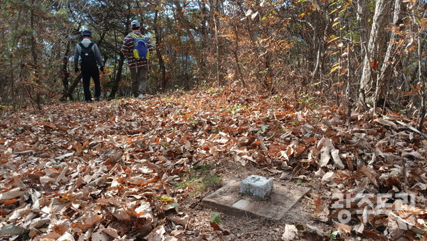 돌모랭이산 삼각점.