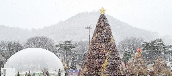 함평군이 지난 18일 ‘함평 겨울밤 빛축제’가 열린 중앙광장에 설치된 크리스마스 트리에 눈이 쌓여 한 폭의 수채화를 연상케 하고 있다. 