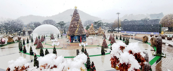 중앙광장 크리스마스 트리에 눈이 쌓였다.