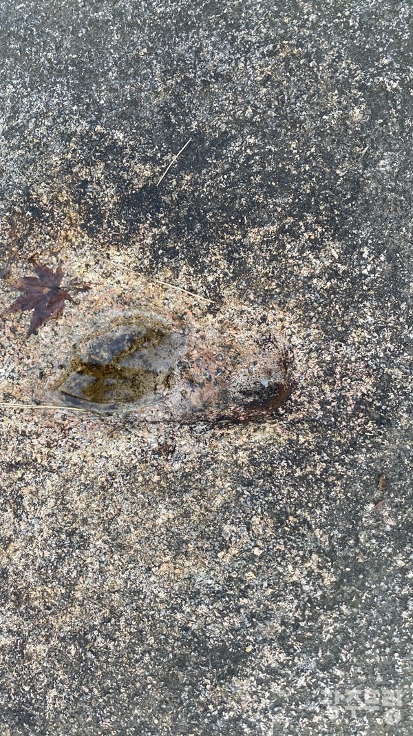 전설이 깃듯 죽정리 장수 발자국.