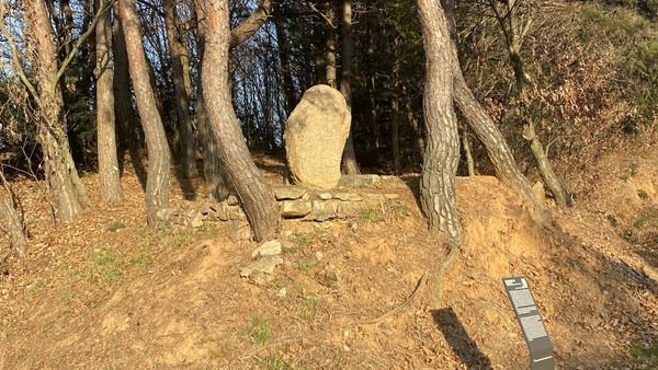 메밀방죽옆 장생.