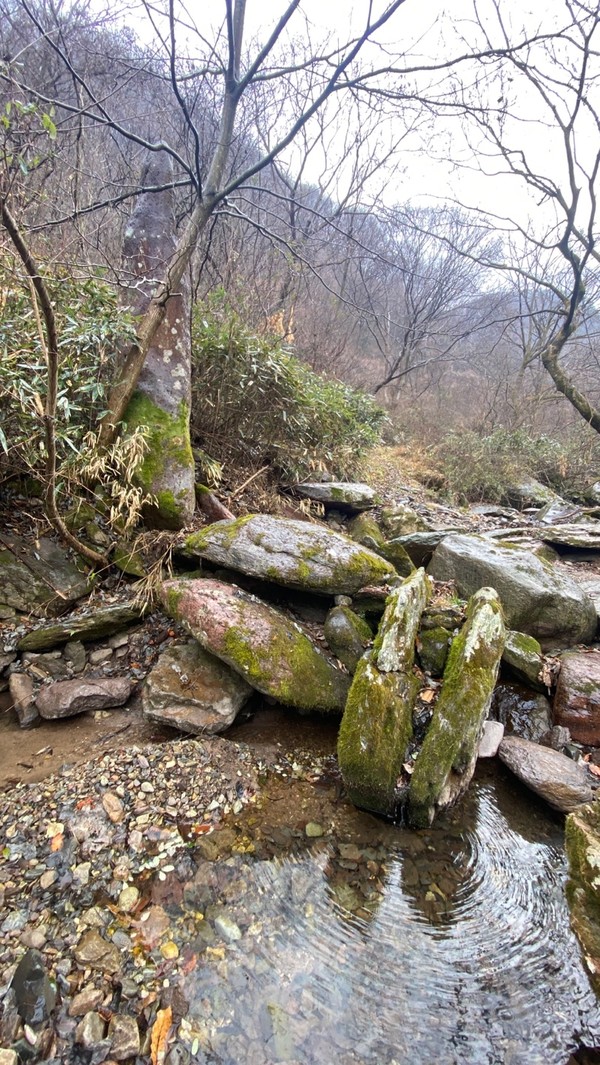 왼편 나무외 키재기하는 선돌.