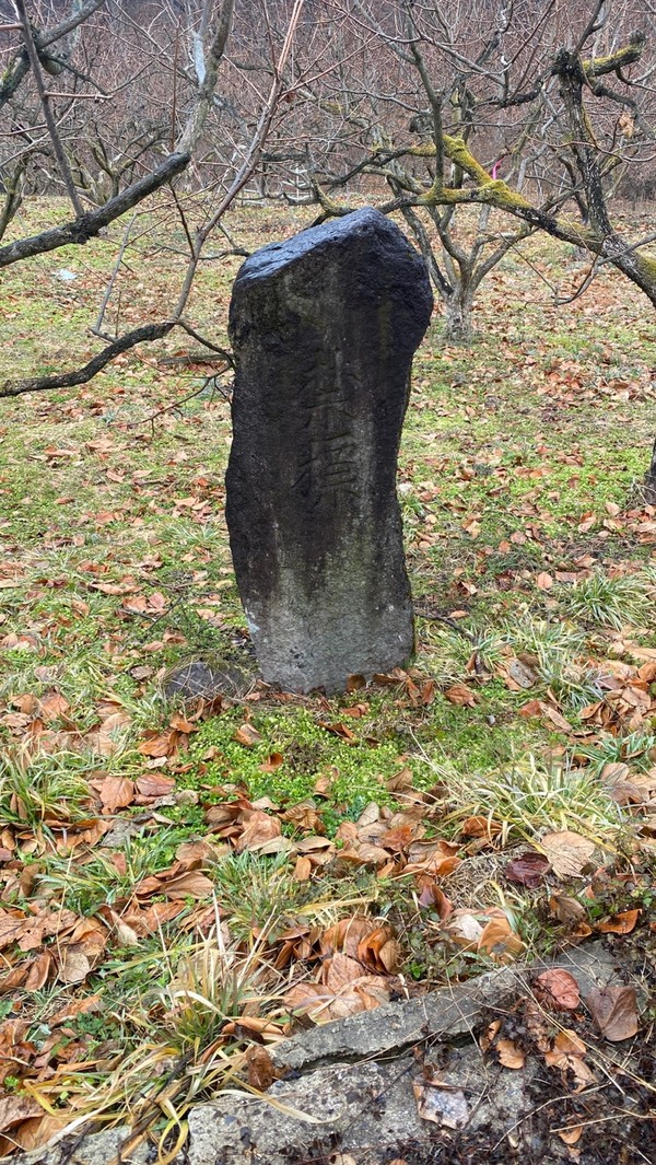 인곡마을 감나무밭의 금표.