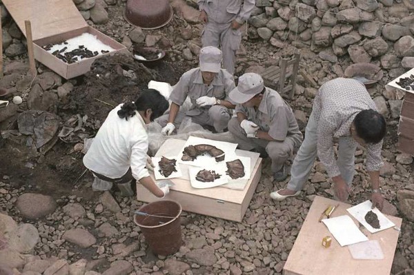 천마총 발굴조사 당시 채화판(彩畵板) 수습 모습(1973년 8월 촬영).   출처: ‘천마총 그날의 이야기’.