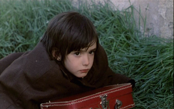 ‘벌집의 정령’.