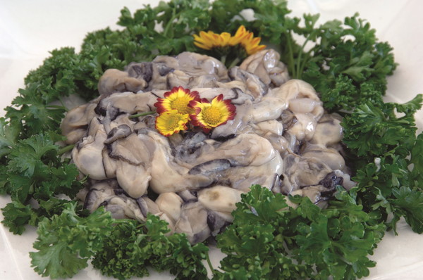 고흥 바다에서 잡은 신선한 굴.