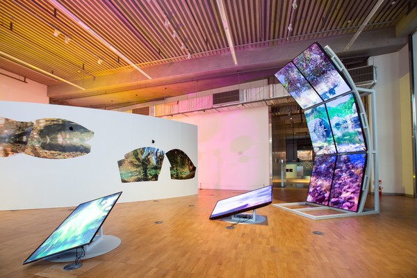 ‘아쿠아 천국’ 권혜원, 액체비전. ACC재단 제공.