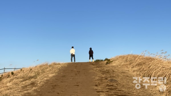 바람이 길을 내준 용눈이오름의 정상안부.
