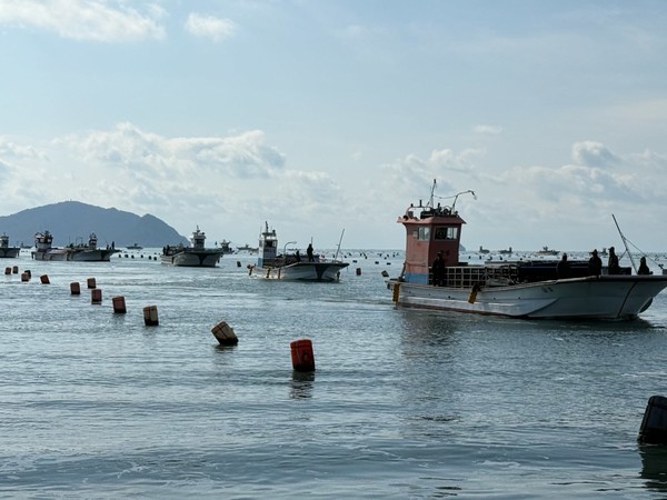 고흥군이 물김 가격 하락에 따른 수급 안정과 어장 질서 확립을 위해 불법 무면허 양식장 시설 정비에 나섰다.