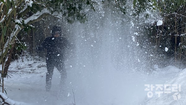 눈의 진저리.
