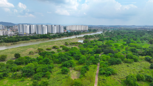 황룡강 장록습지 전경. 광산구 제공.