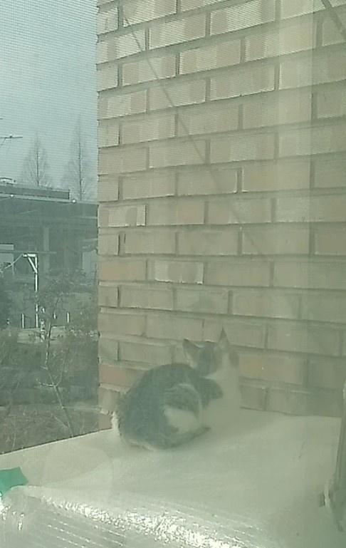 면벽참선(?) 중인 ‘똘이’..