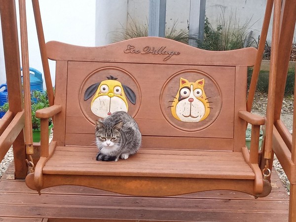 흔들리면서도 날(?) 준비를 하고 있는 ‘둥이’.