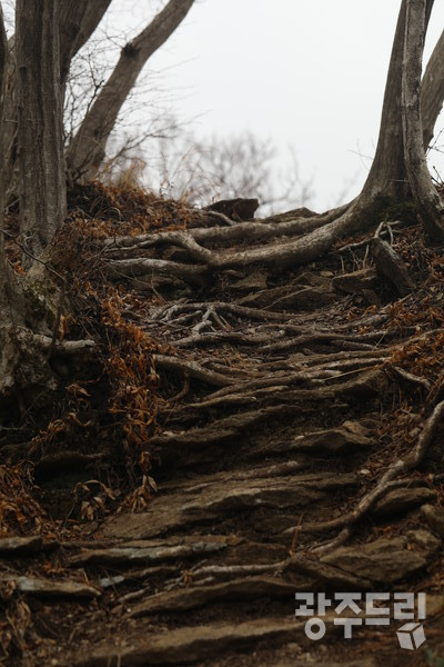 상은적봉 정상길.