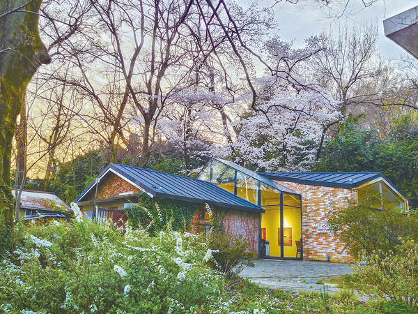 호랑가시나무 아트폴리곤.