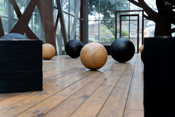 호랑가시나무 글라스폴리곤 전시 전경. 