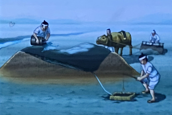 갯벌 흙을 이용하여 써레질을 하고 5~6회 말려서 ‘함토’를 만들어 섯등에 올리고 바닷물을 부어 함수를 내린다.