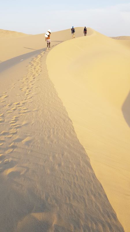 사막의 능성이.