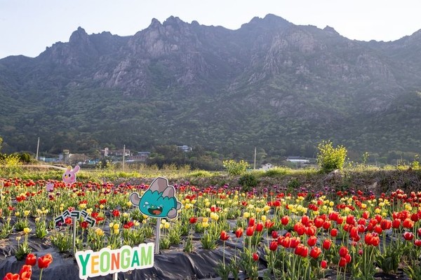 사진 제공=염암군.