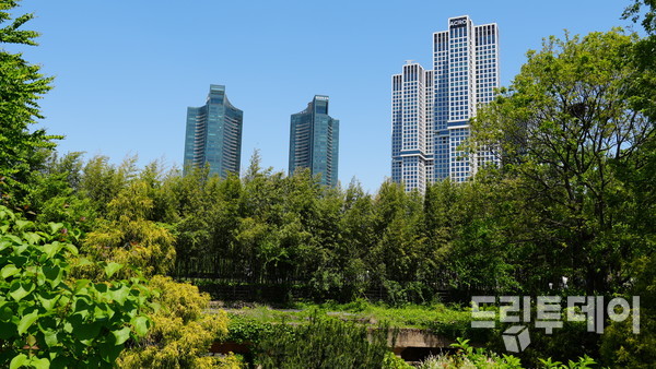 고충 아파트와 도로로 둘러싸인 땅 한가운데 위치한 서울숲.