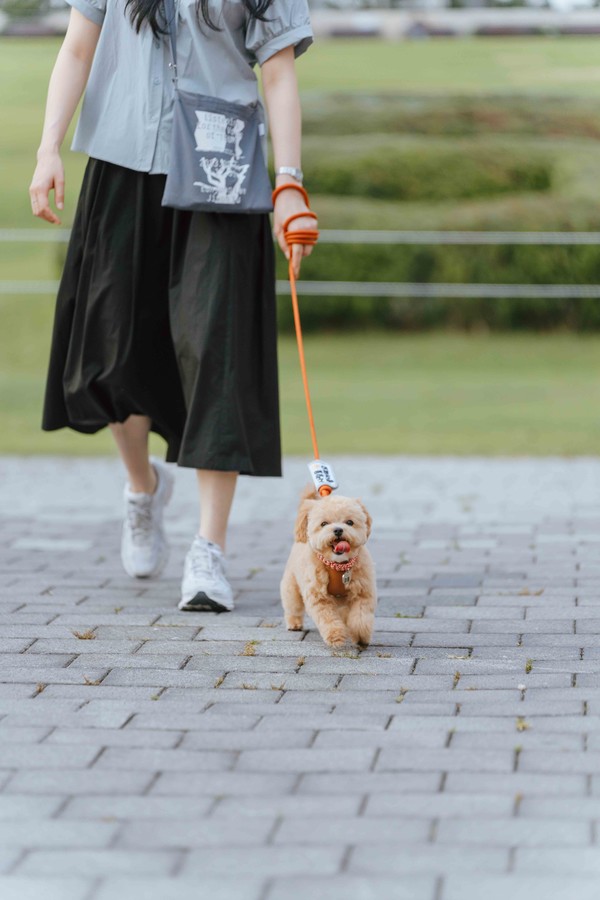 ‘반려동물 동반 문화 나들이’ ACC 제공.
