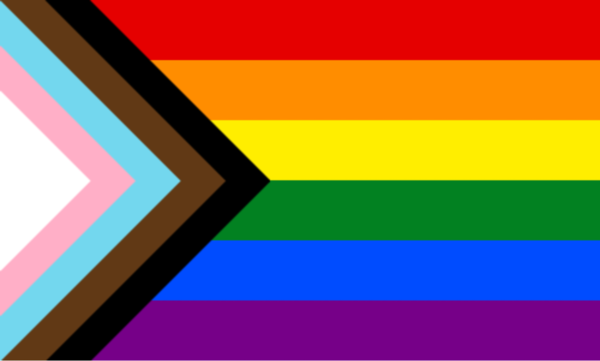 무지개 깃발(pride flag).