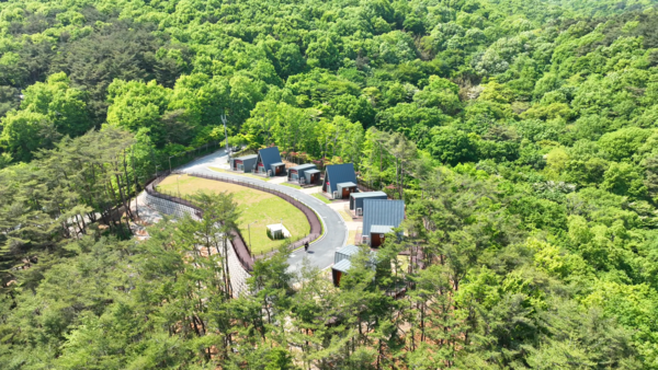 백아산자연휴양림 트리하우스 전경.