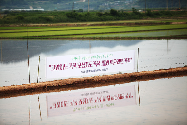 마을청년회, 부녀회, 노인회가 논두렁에 꼬마농부를 응원하는 현수막을 걸었다.