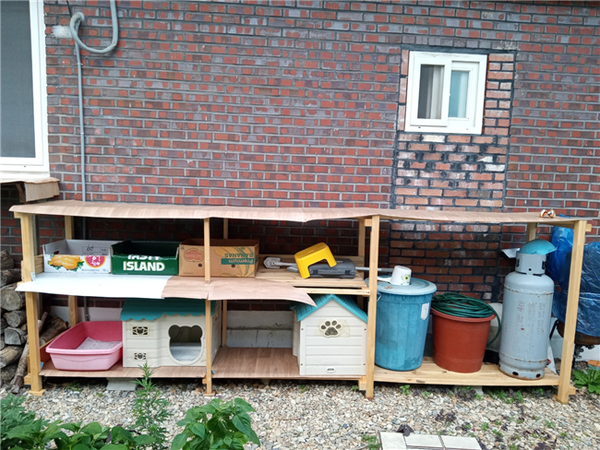 네 칸은 냥이들 거처, 한 칸은 다용도로 만든 선반