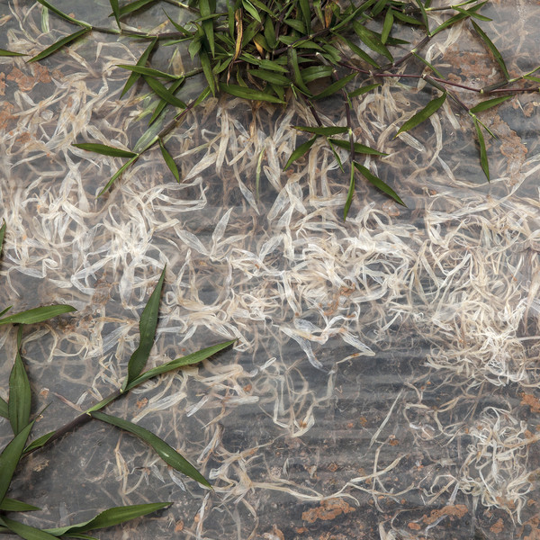 문선희 작, '84879'.