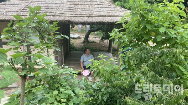 매화동산에서 본 취미선방.