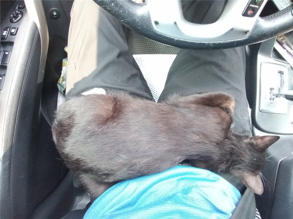 돌아오는 길에 차를 한쪽에 세워두고 잠깐 쉬면서 사진을 찍었다.