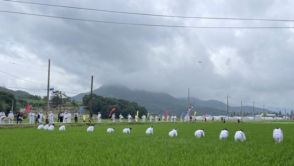 지난해 재현행사 장면