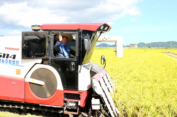 공영민 고흥군수는 조생벼 수확 시연을 하고 있다. 