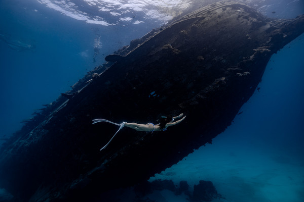 난파선 앞에서 프리다이빙 중인 달고미.