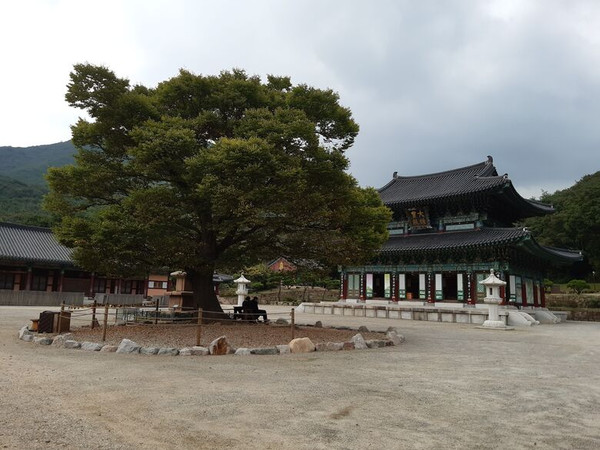 영암 도갑사. 영암군 제공.