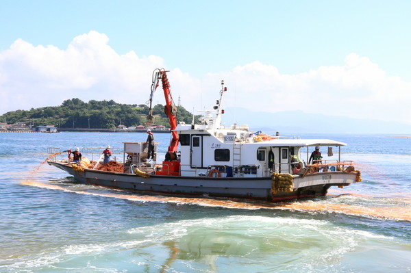 고흥군이 전 해역에 특보'주의보'가 발령에 따른 초동 방제에 나서고 있다. 