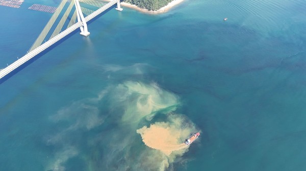 적조 방제 나선 황토 살포하고 있는 현장 드론촬영 사진