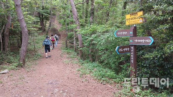 등산로.