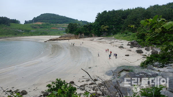 장사금해수욕장.