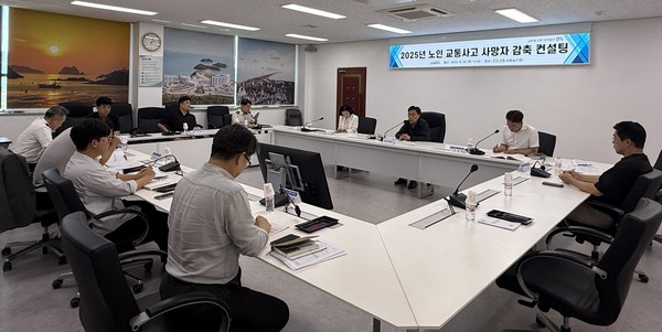 전남지역 노인 교통사고 예방 컨설팅. 전남도 제공