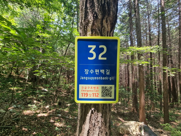 고흥 장수편백길32. 전남도 제공